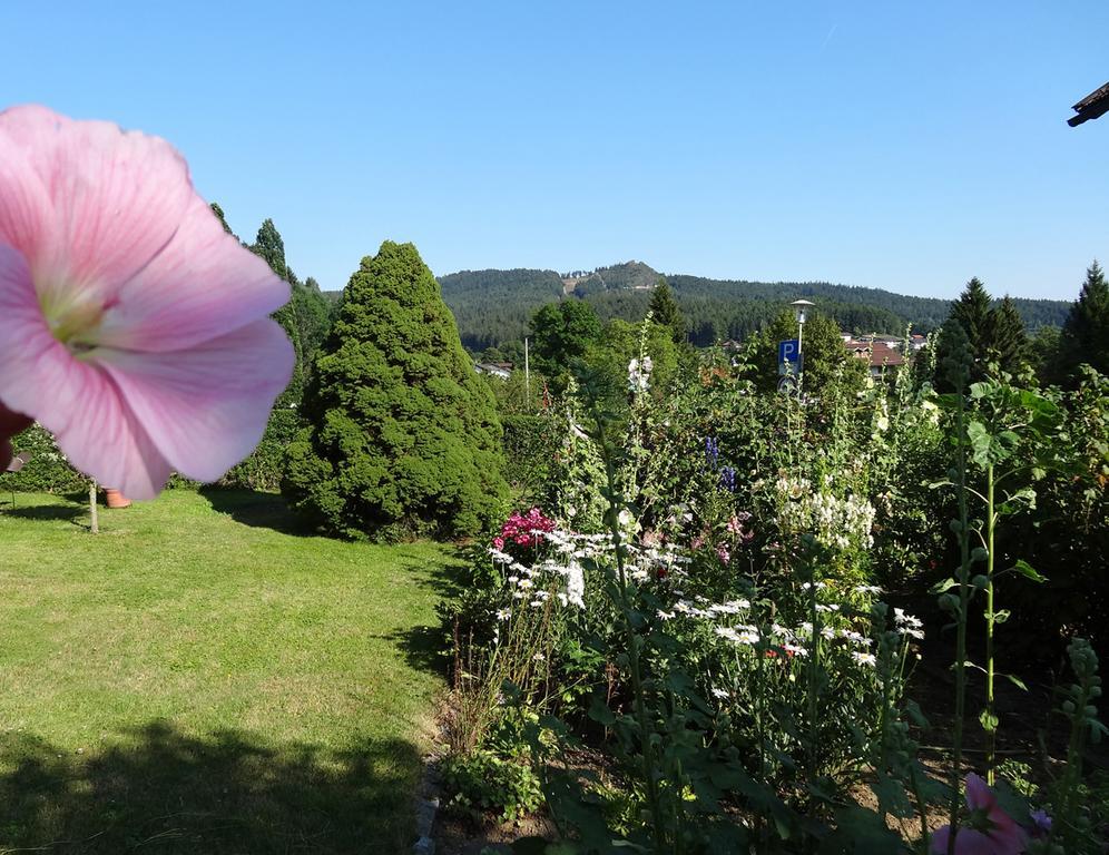 Haus Seidl Leilighet Bodenmais Rom bilde